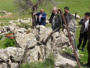 Köylüler, yılın yalnızca 20 günü açan karşıt lalelerin başında nöbet tutuyor! Koparmanın cezası 244 bin lira