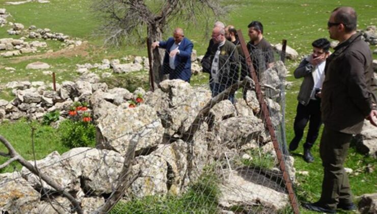 Köylüler, yılın yalnızca 20 günü açan karşıt lalelerin başında nöbet tutuyor! Koparmanın cezası 244 bin lira