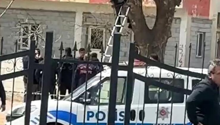 Yoldan geçenler gördüklerine inanamadı